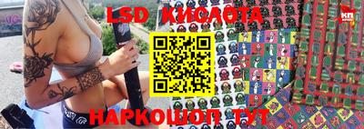 мяу мяу мука Новодвинск