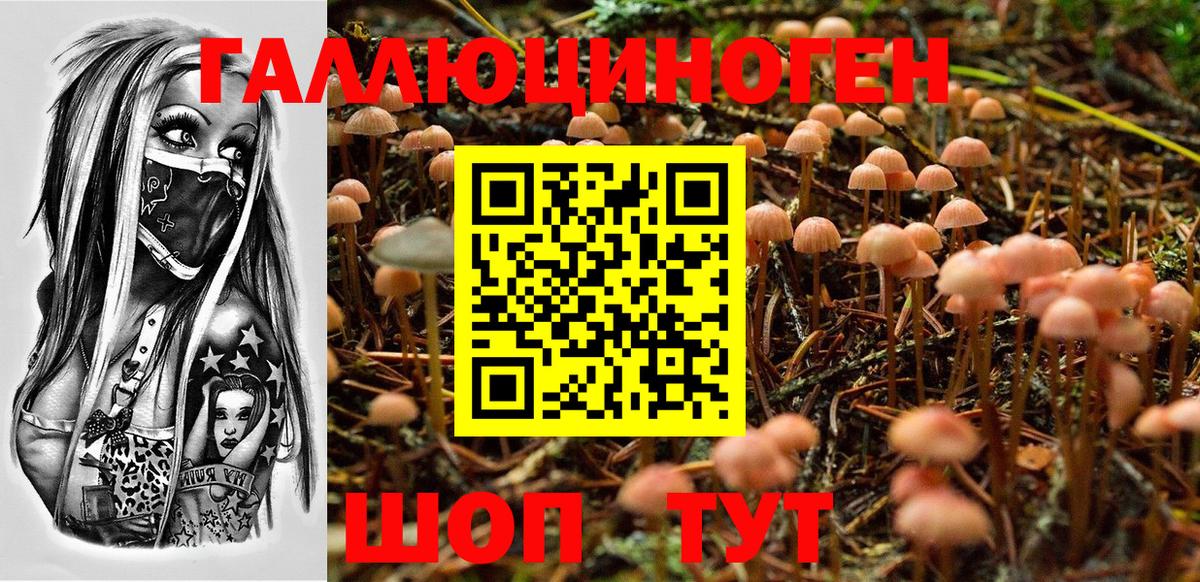 Псилоцибиновые грибы MAGIC MUSHROOMS  Вход с VPN  Заинск 