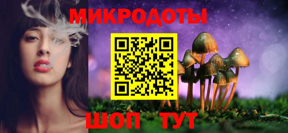 Галлюциногенные грибы Magic Shrooms Заинск